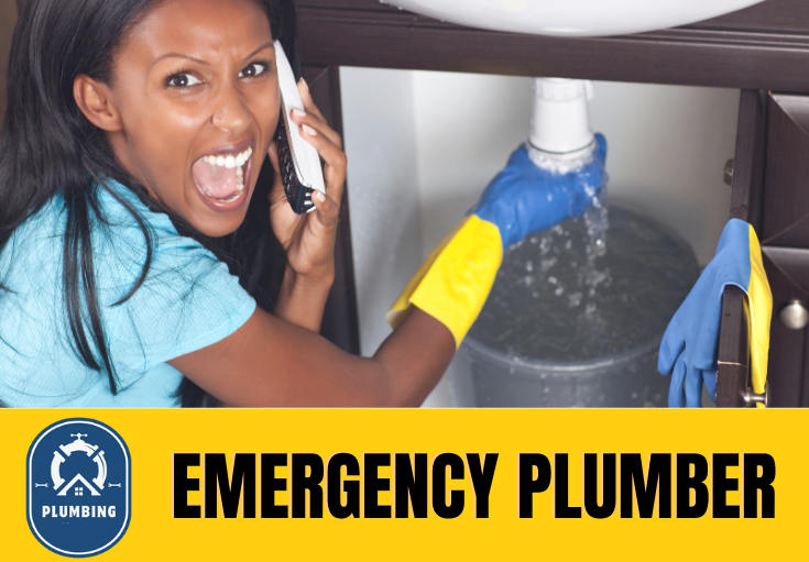 emergency plumber Erith